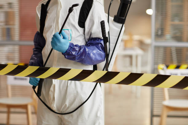 Professional Sewage Cleanup technician working in Quincy, MA